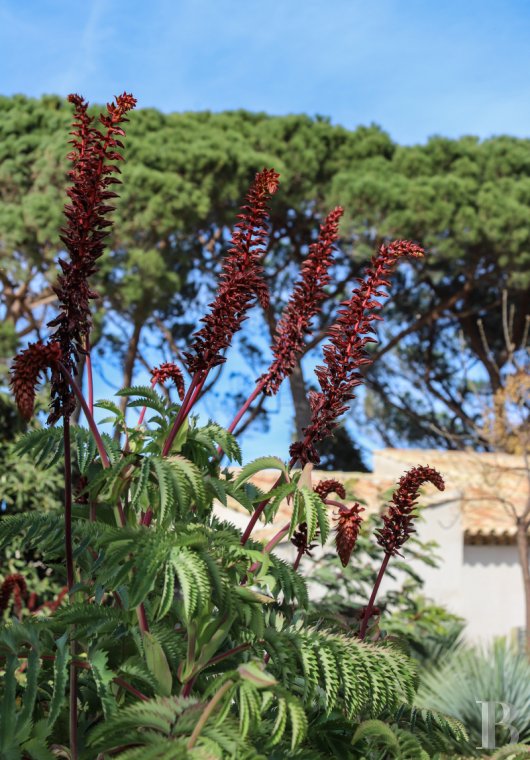 A former artist's studio with a Mediterranean garden in the Bay of Canoubiers, Saint-Tropez - photo  n°7