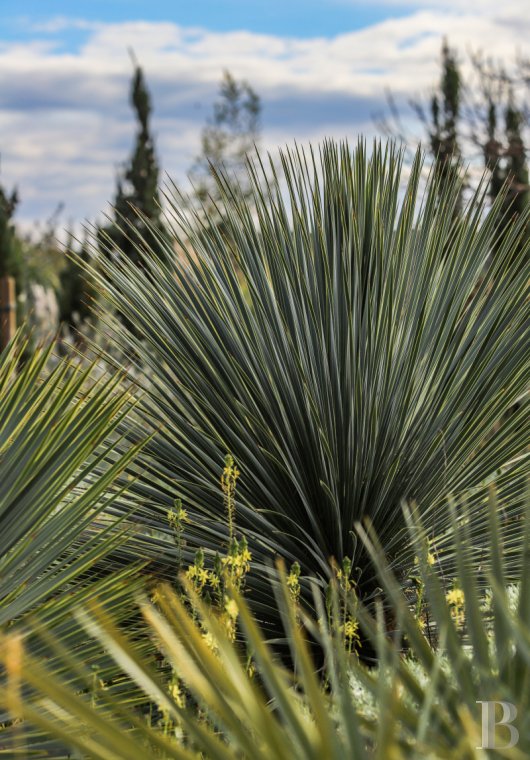 A former artist's studio with a Mediterranean garden in the Bay of Canoubiers, Saint-Tropez - photo  n°36