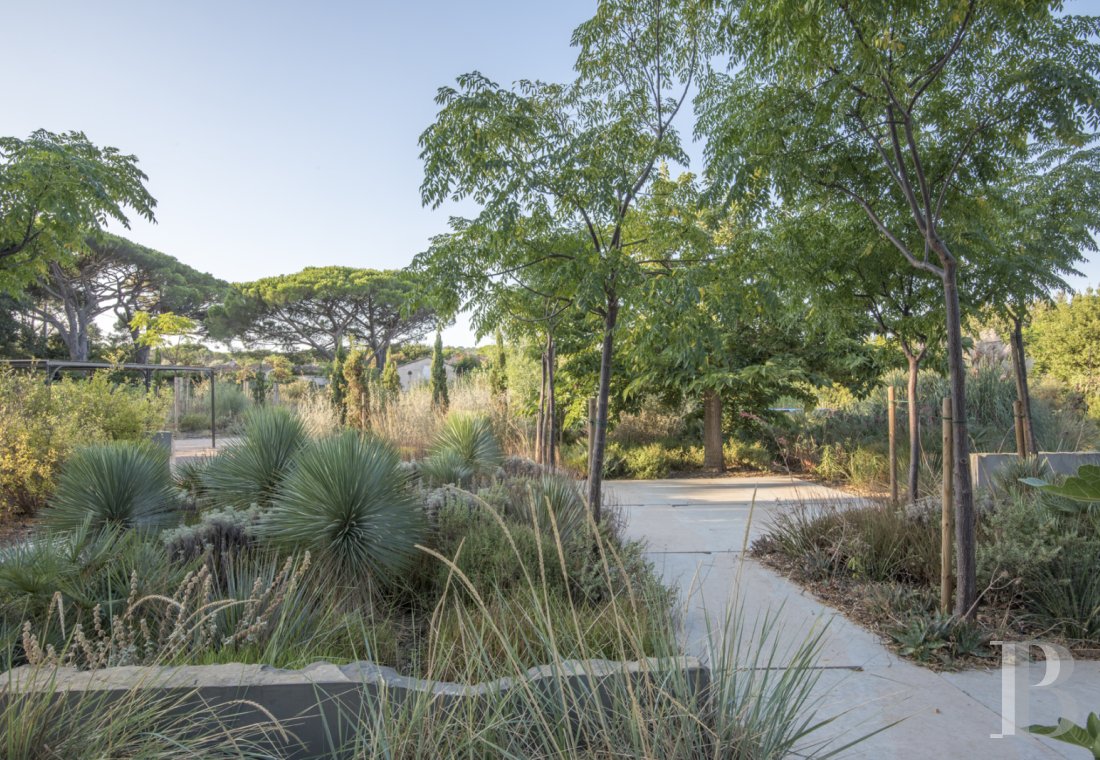 A former artist's studio with a Mediterranean garden in the Bay of Canoubiers, Saint-Tropez - photo  n°5