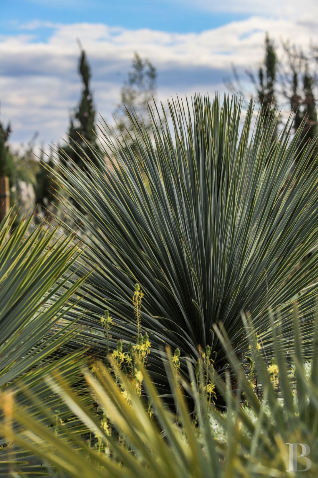 À Saint-Tropez, dans la baie des Canoubiers, un ancien atelier d’artiste et son jardin méditerranéen - photo  n°36