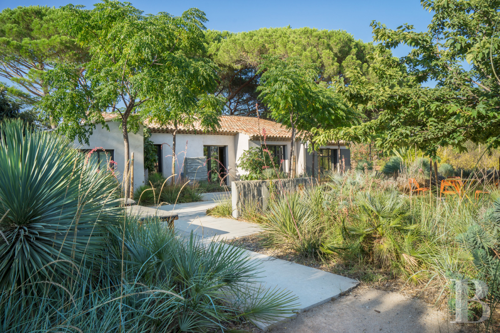 À Saint-Tropez, dans la baie des Canoubiers, un ancien atelier d’artiste et son jardin méditerranéen - photo  n°35