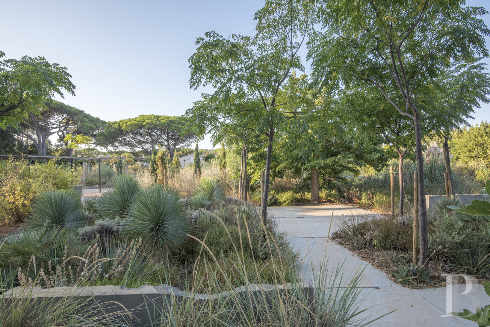 À Saint-Tropez, dans la baie des Canoubiers, un ancien atelier d’artiste et son jardin méditerranéen - photo  n°5