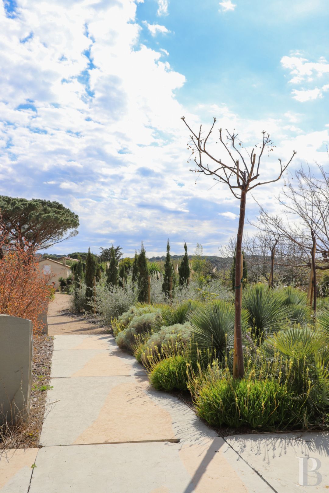 À Saint-Tropez, dans la baie des Canoubiers, un ancien atelier d’artiste et son jardin méditerranéen - photo  n°2