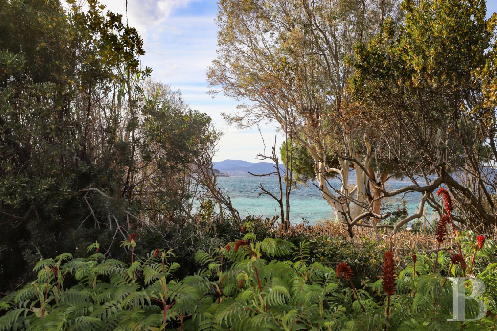 À Saint-Tropez, dans la baie des Canoubiers, un ancien atelier d’artiste et son jardin méditerranéen - photo  n°4