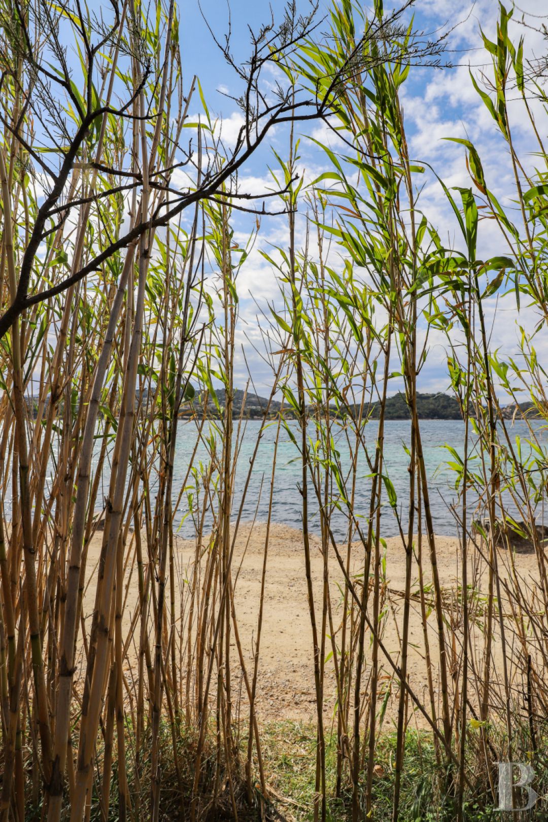 À Saint-Tropez, dans la baie des Canoubiers, un ancien atelier d’artiste et son jardin méditerranéen - photo  n°3