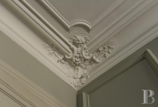 mansion houses for sale France pays de loire   - 10