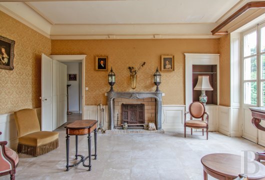 chateaux a vendre rhones alpes   - 9