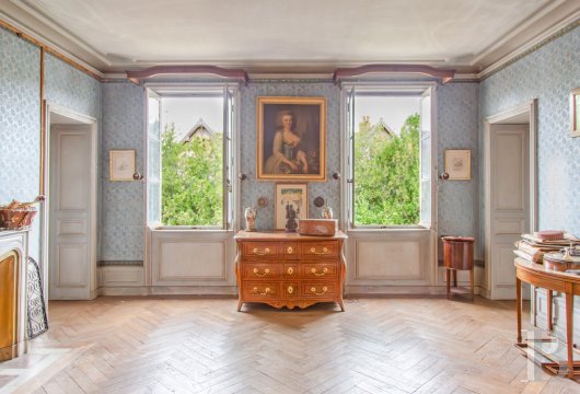 chateaux a vendre rhones alpes   - 18