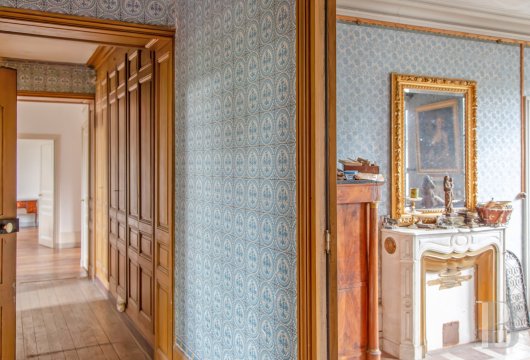 chateaux a vendre rhones alpes   - 17