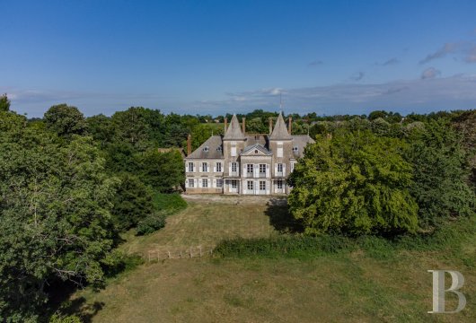 rhones-alpes - Aux confins de l'Ain et de la Bourgogne, en Val de Saône,  un château à rénover, deux logements, des dépendances, un parc et des prairies sur 20 ha