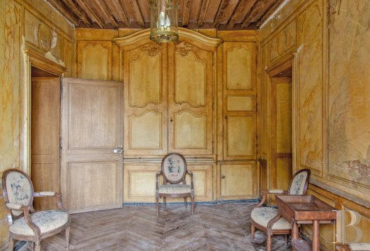 chateaux a vendre rhones alpes   - 12