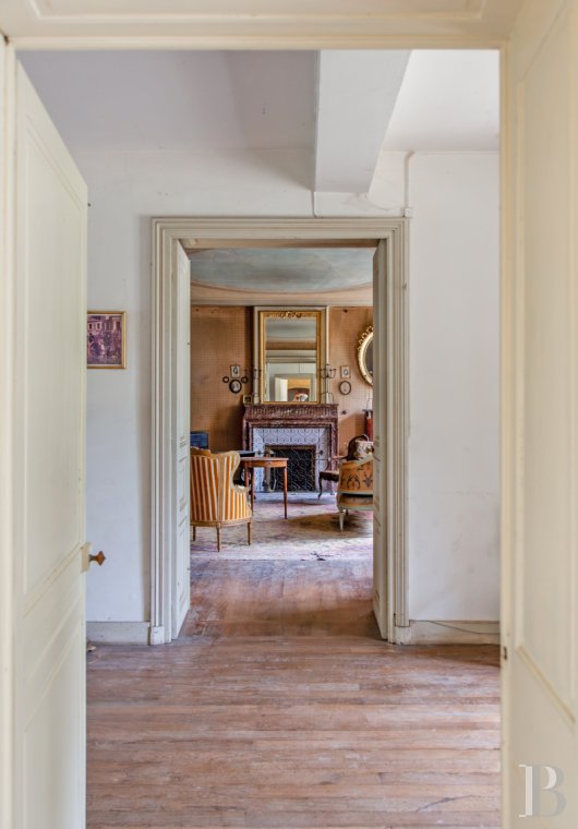 chateaux a vendre rhones alpes   - 8