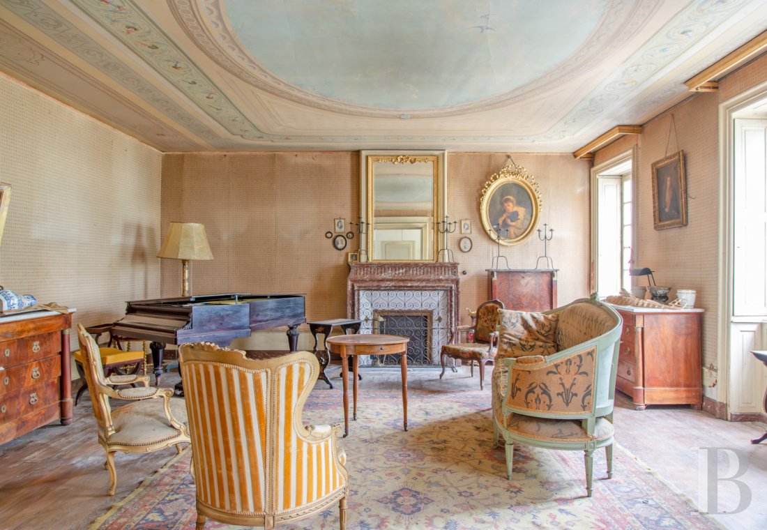 chateaux a vendre rhones alpes   - 6