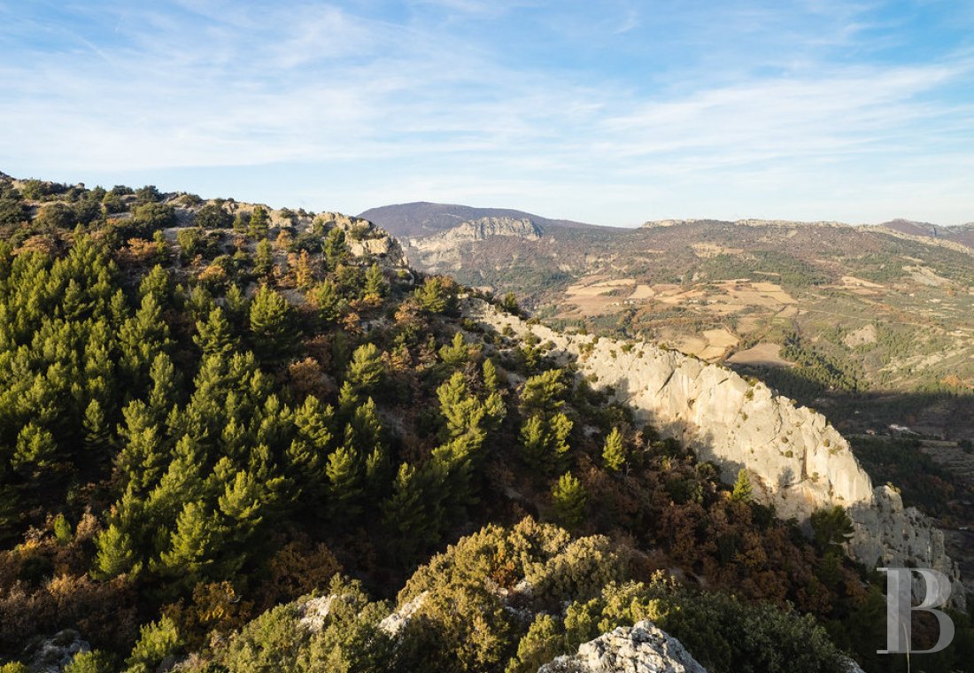A renovated hamlet with an abundance of nature and a view of Mont Ventoux, to the south of Vaison-la-Romaine - photo  n°39