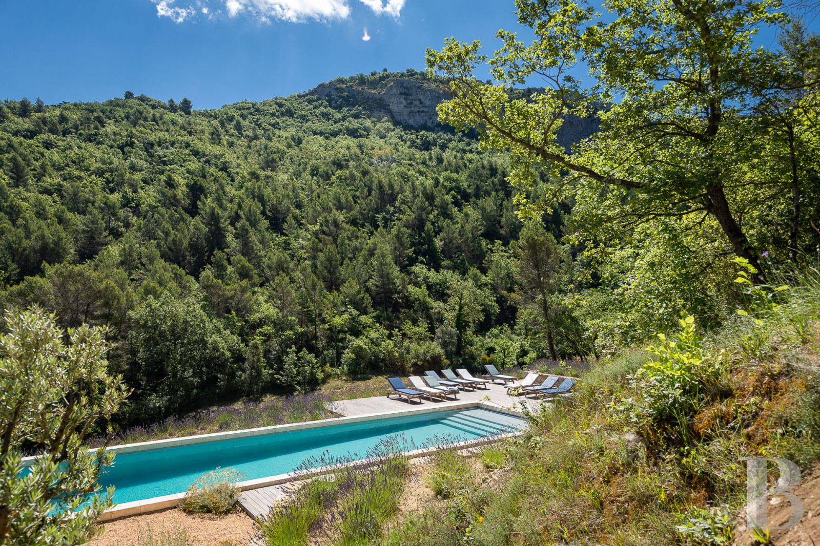 Au sud de Vaison-la-Romaine, face au mont Ventoux, un hameau rénové en pleine nature - photo  n°3