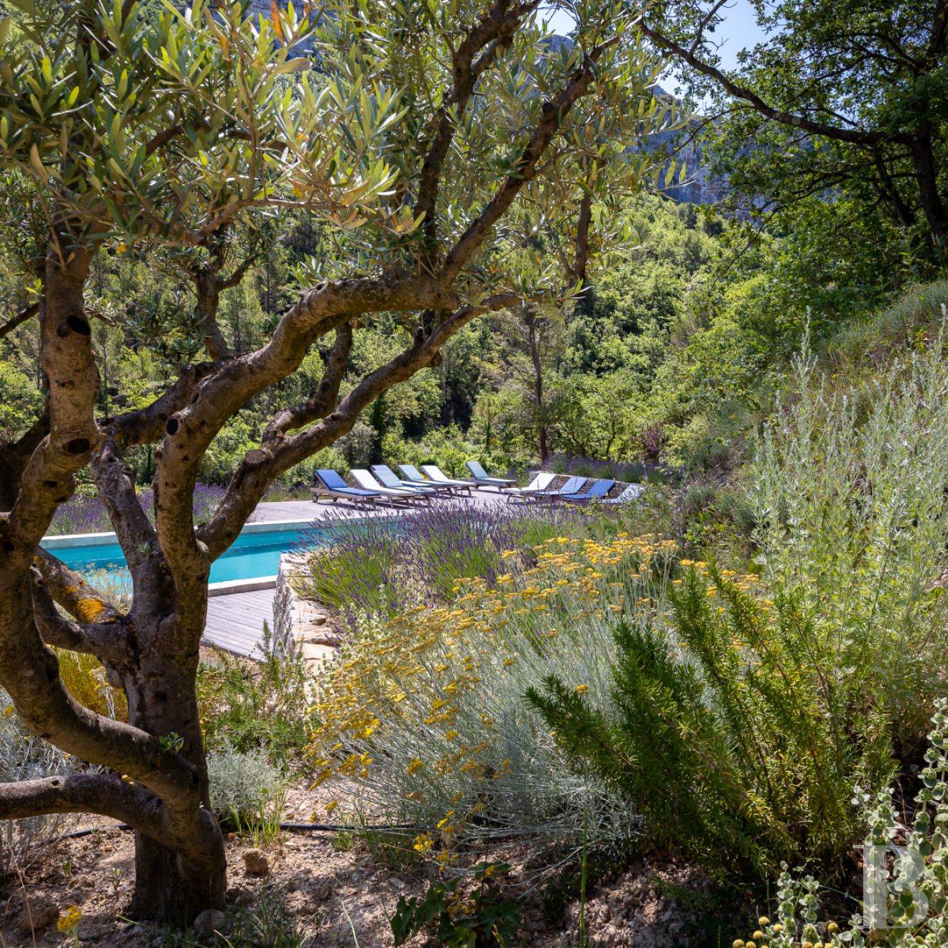Au sud de Vaison-la-Romaine, face au mont Ventoux, un hameau rénové en pleine nature - photo  n°34