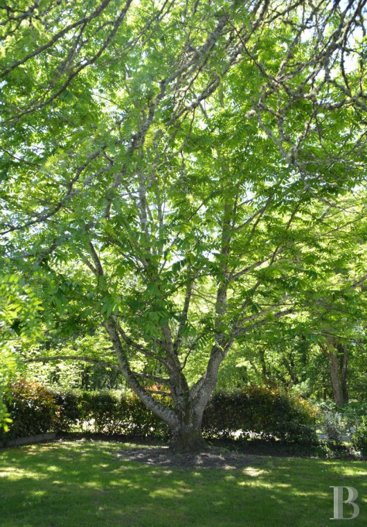 character properties France aquitaine   - 19