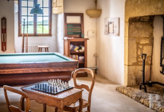 chateaux a vendre aquitaine   - 10