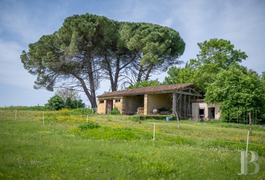 chateaux a vendre aquitaine   - 36