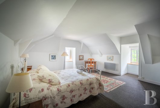 chateaux a vendre aquitaine   - 17