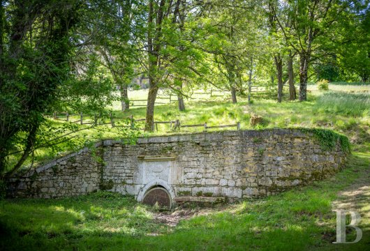 chateaux a vendre aquitaine   - 44