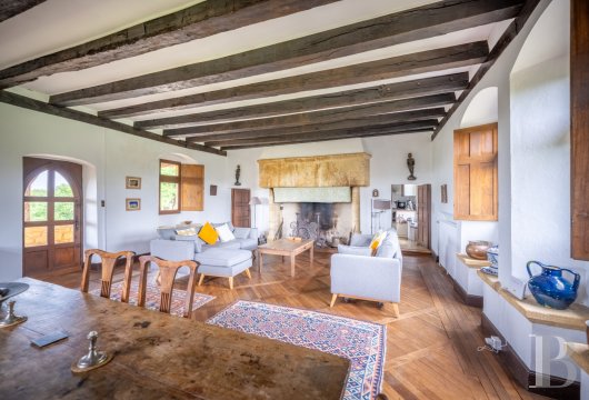 chateaux a vendre aquitaine   - 21