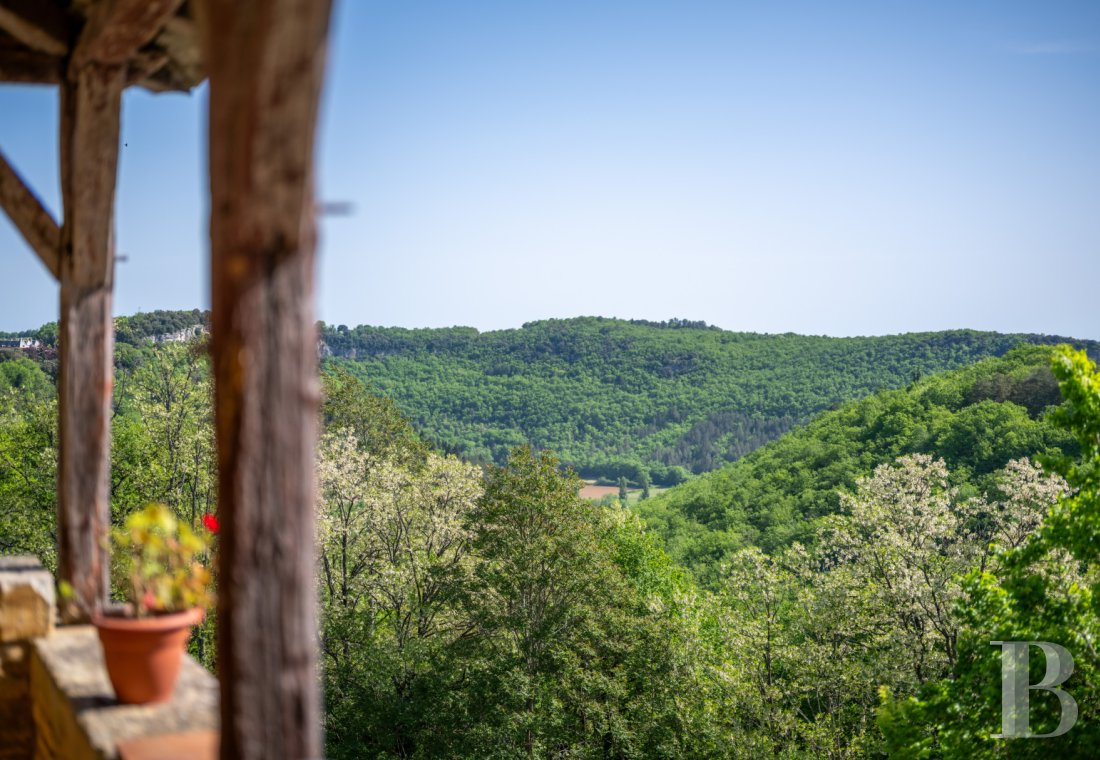 chateaux a vendre aquitaine   - 25