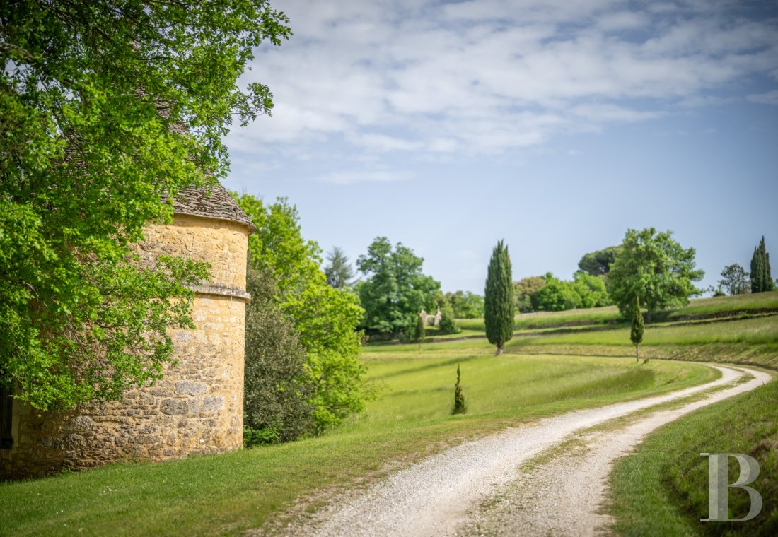 chateaux a vendre aquitaine   - 45