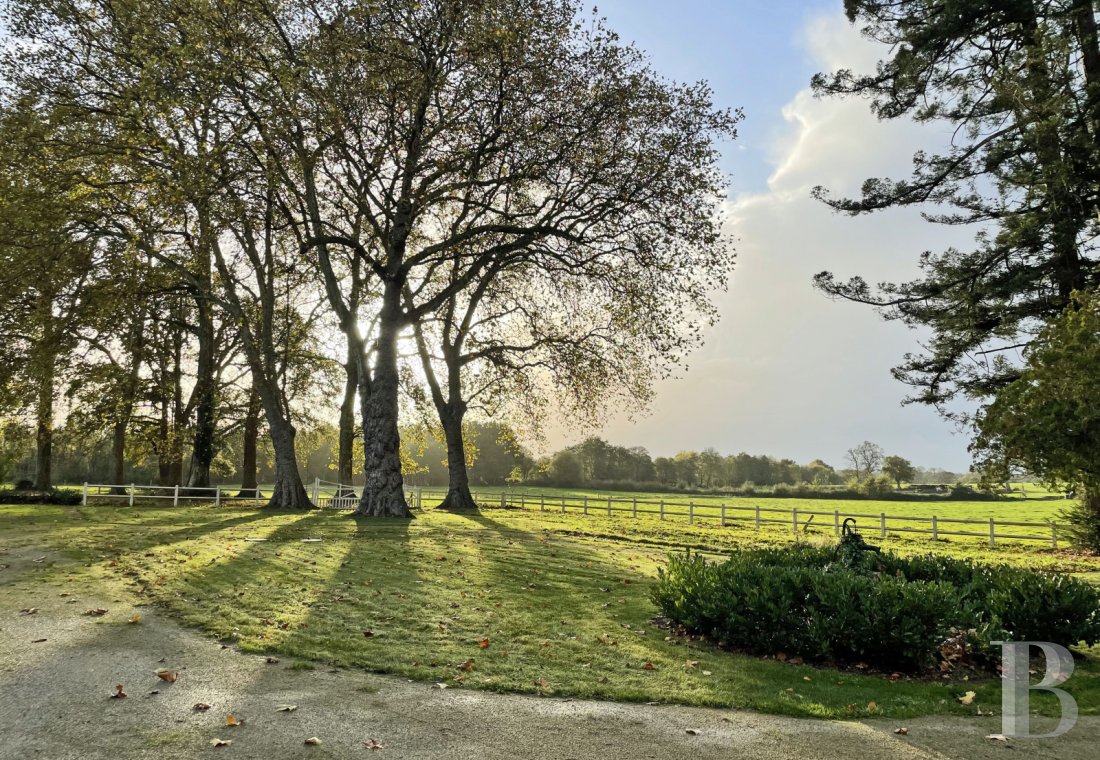 Château · Segré-en-Anjou Bleu