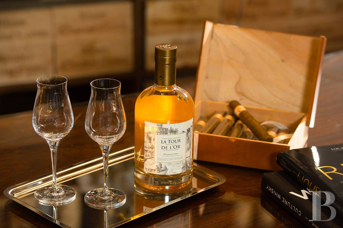 A villa designed and built by a Modernist architect in the heart of an arboreal estate close to Nîmes - photo  n°2