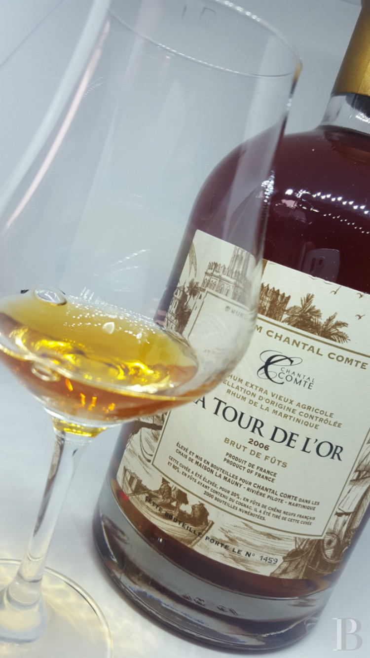 A villa designed and built by a Modernist architect in the heart of an arboreal estate close to Nîmes - photo  n°9