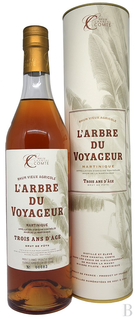 A villa designed and built by a Modernist architect in the heart of an arboreal estate close to Nîmes - photo  n°1