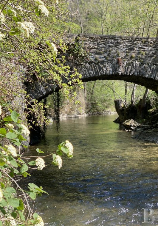 En Rhénanie-Palatinat, dans la région de l’Eifel, un ancien moulin du 15e siècle en pleine nature rénové dans un esprit contemporain - photo  n°3