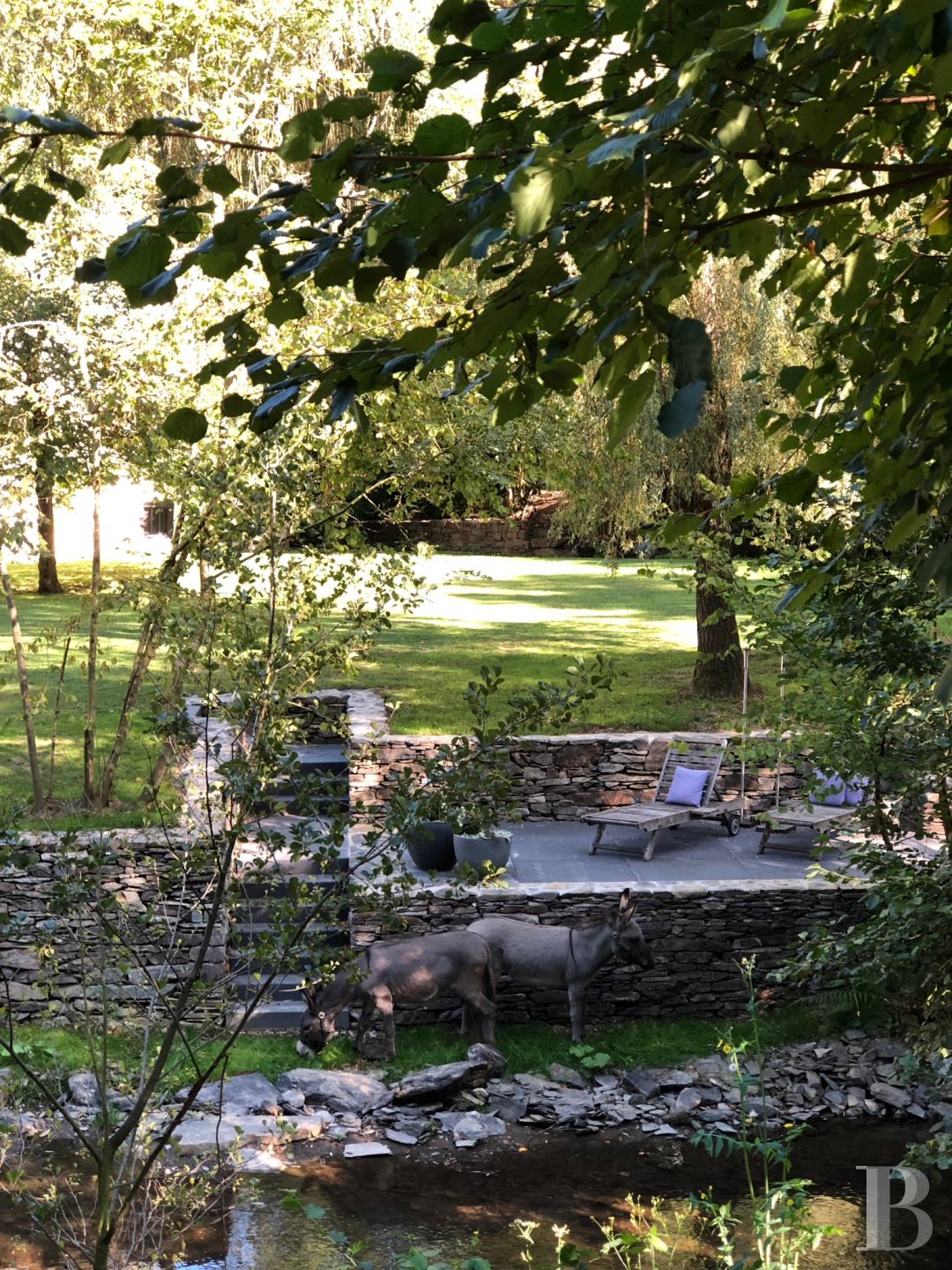 En Rhénanie-Palatinat, dans la région de l’Eifel, un ancien moulin du 15e siècle en pleine nature rénové dans un esprit contemporain - photo  n°22
