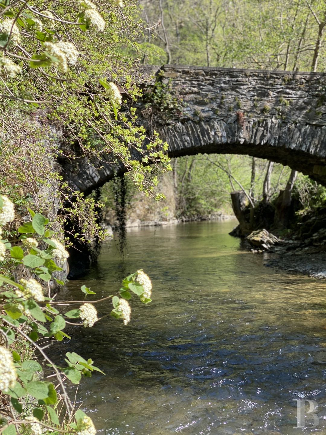 En Rhénanie-Palatinat, dans la région de l’Eifel, un ancien moulin du 15e siècle en pleine nature rénové dans un esprit contemporain - photo  n°3