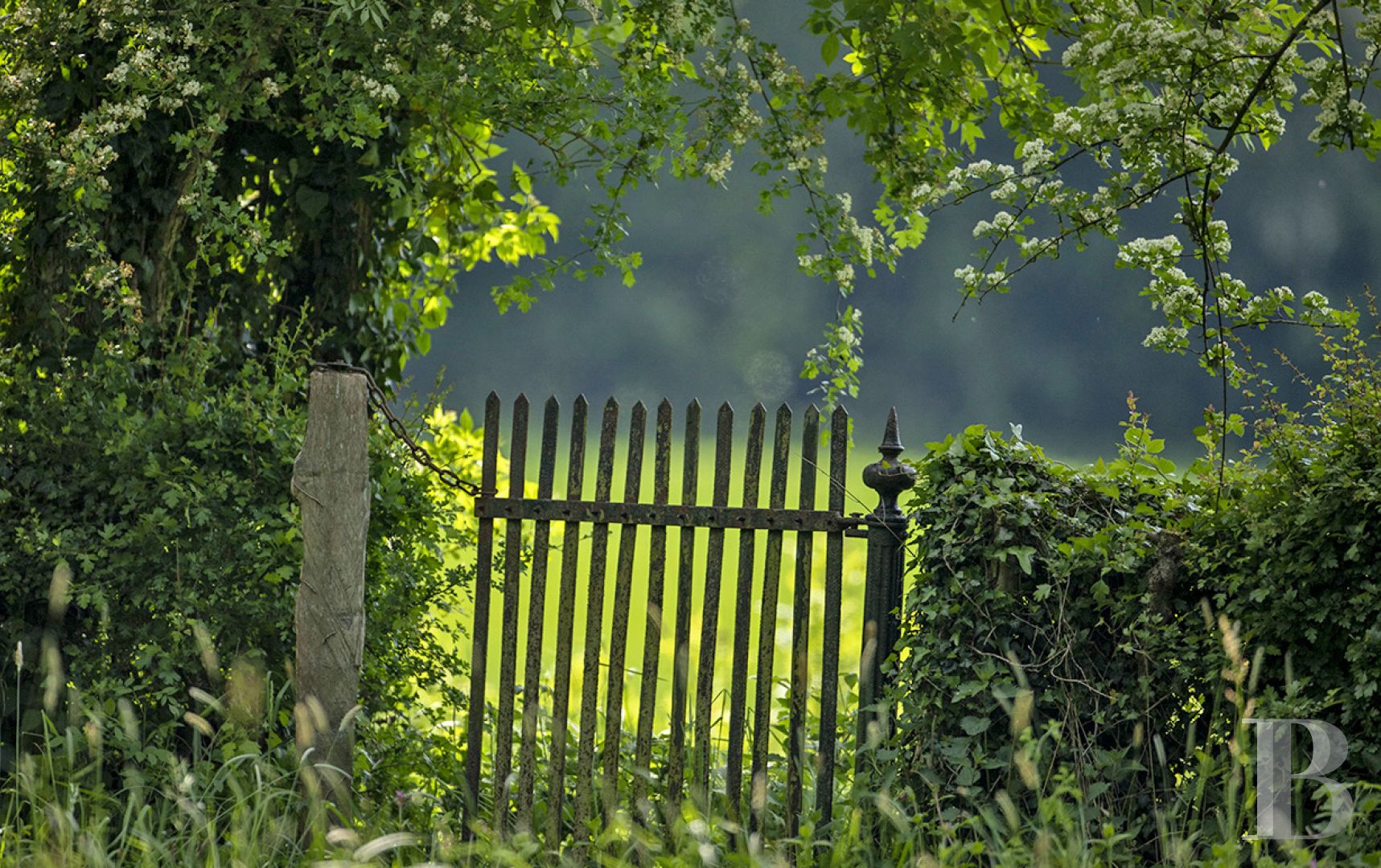 En Belgique, au sud-est de Namur, un gîte dans l’aile d’un château de famille - photo  n°16