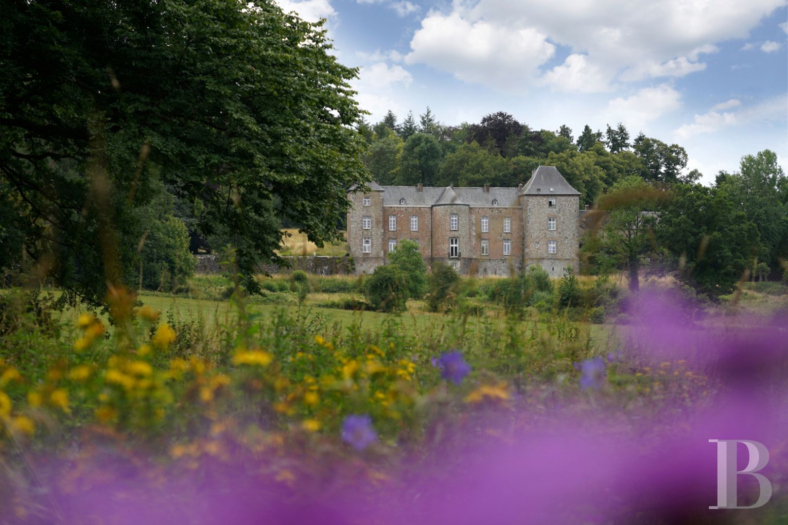En Belgique, au sud-est de Namur, un gîte dans l’aile d’un château de famille - photo  n°1