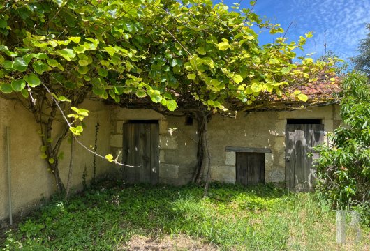 proprietes a vendre poitou charentes   - 6
