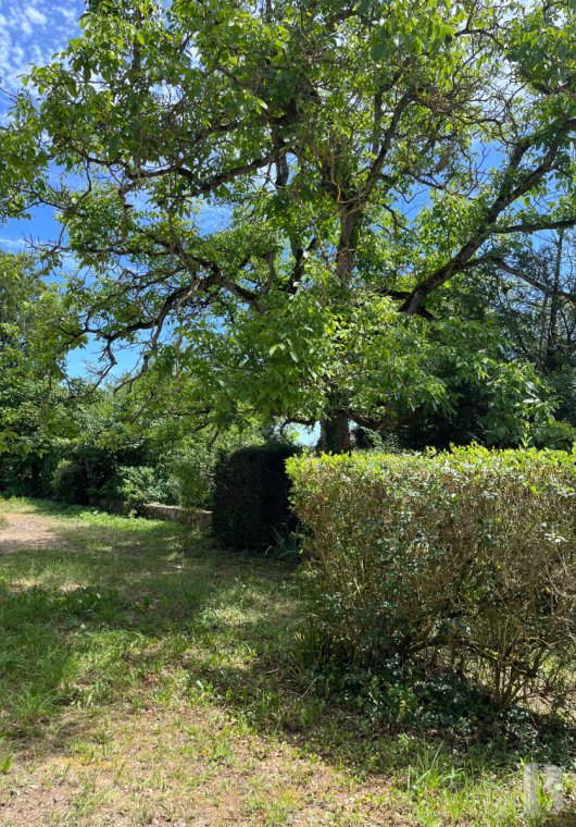 proprietes a vendre poitou charentes   - 8
