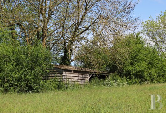 character properties France picardy   - 12
