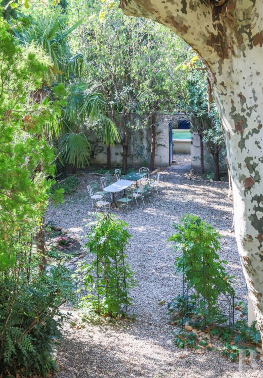 Dans le centre d’Avignon, deux maisons de ville et leurs trois jardins - photo  n°2