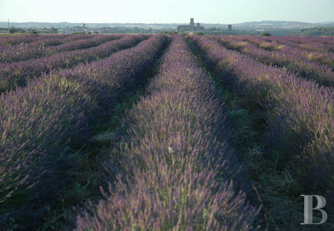 En Italie, au sud de Tuscania dans la province de Viterbe, une ancienne abbaye cistercienne réhabilitée au tournant du siècle - photo  n°34