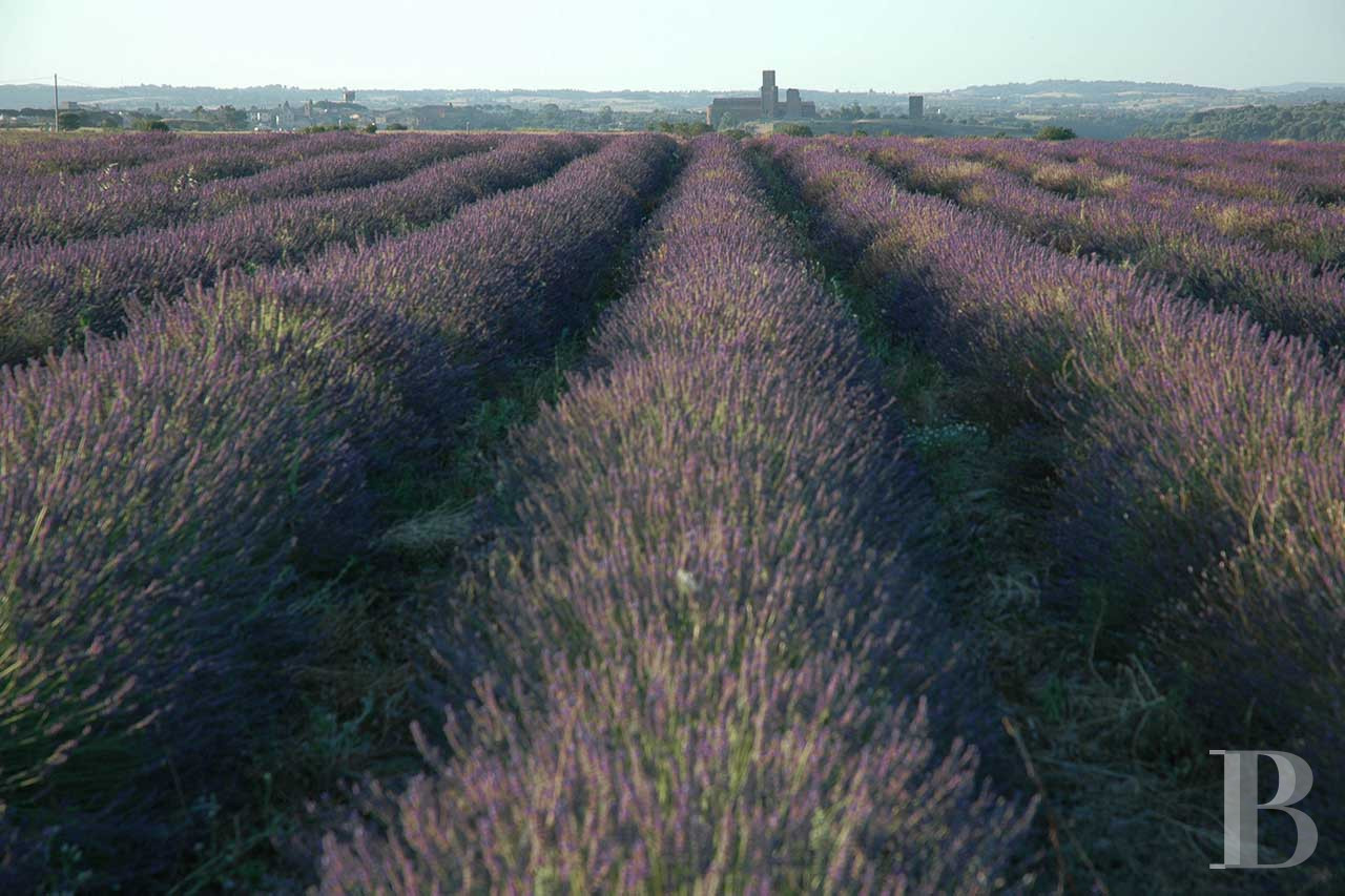 En Italie, au sud de Tuscania dans la province de Viterbe, une ancienne abbaye cistercienne réhabilitée au tournant du siècle - photo  n°34