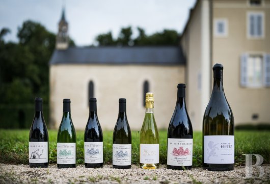 A chateau affiliated with Burgundy's greatest vineyards and permaculture to the south of Beaune - photo  n°3