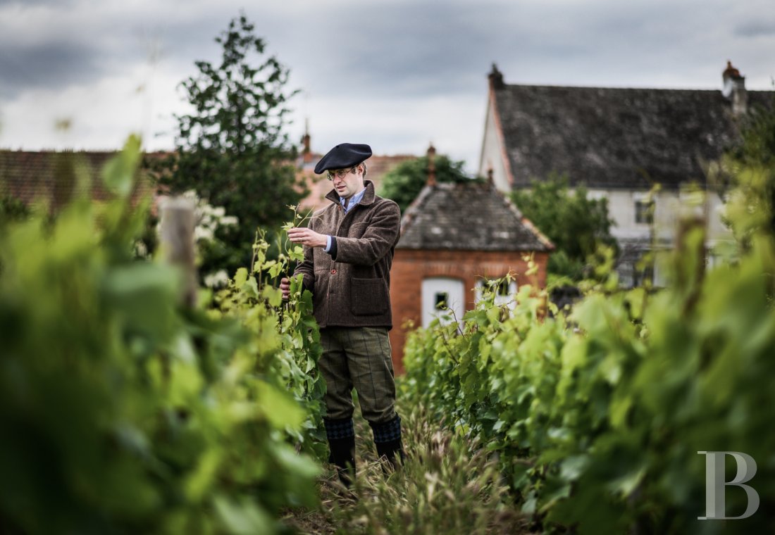 A chateau affiliated with Burgundy's greatest vineyards and permaculture to the south of Beaune - photo  n°36