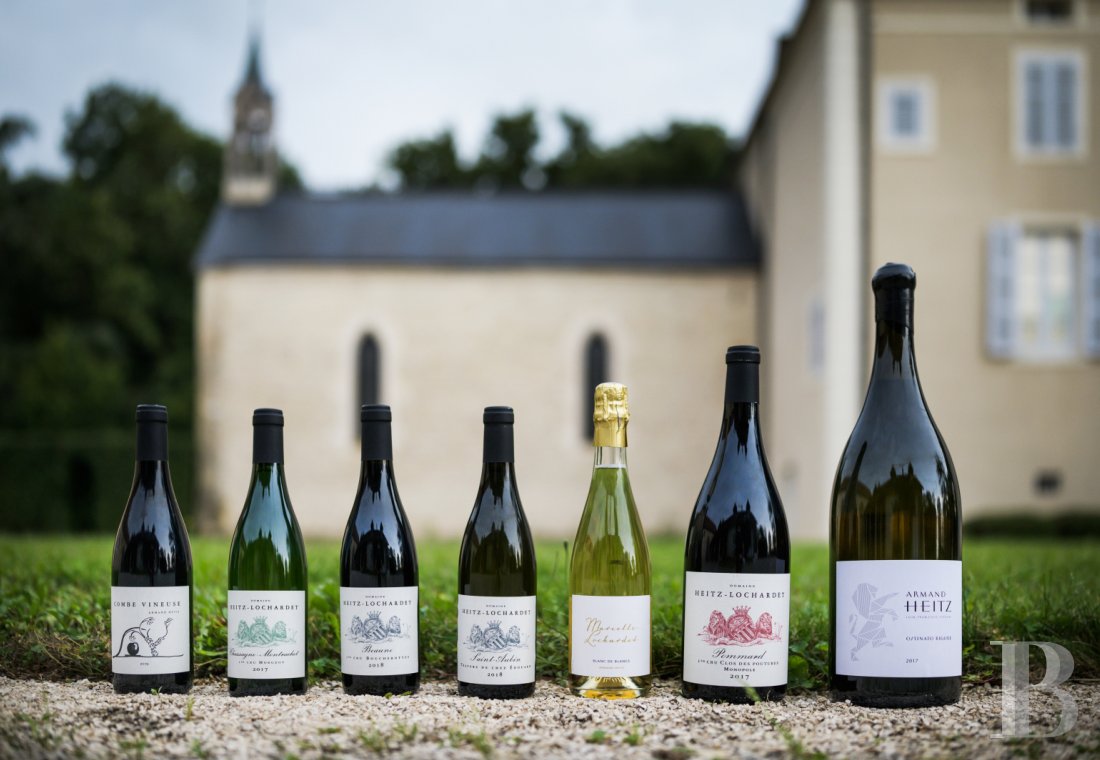 A chateau affiliated with Burgundy's greatest vineyards and permaculture to the south of Beaune - photo  n°37