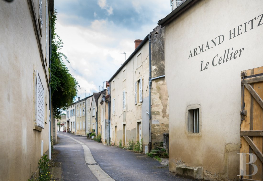 A chateau affiliated with Burgundy's greatest vineyards and permaculture to the south of Beaune - photo  n°39