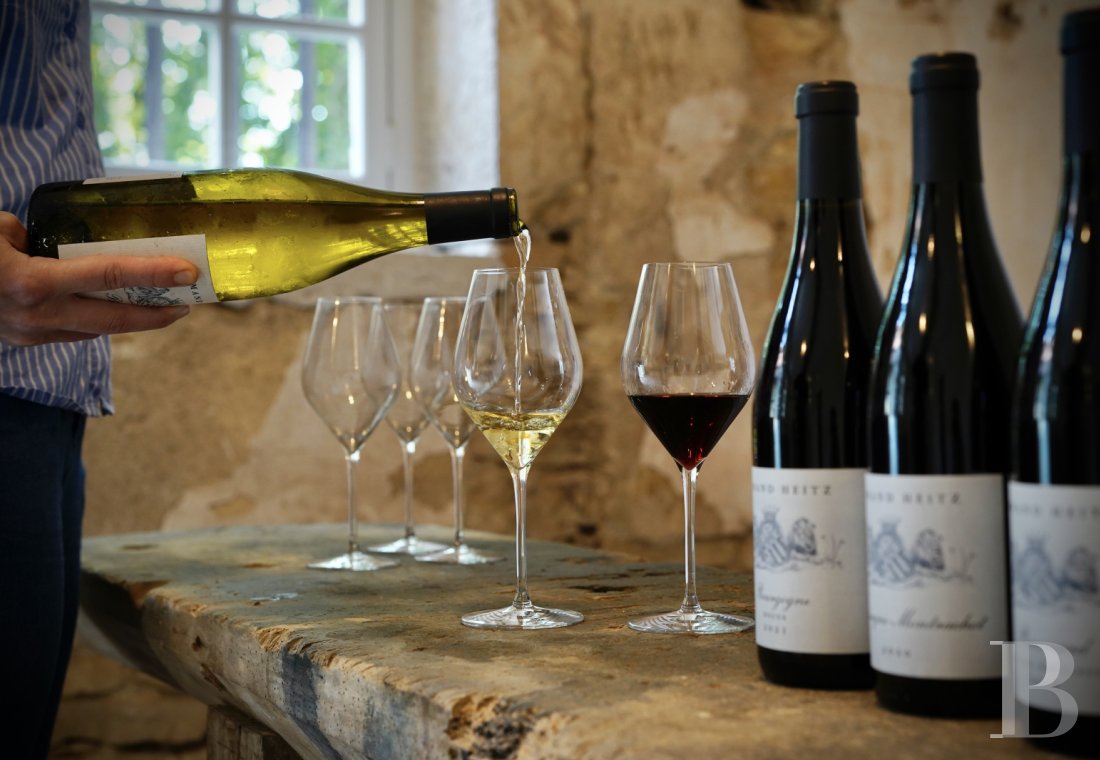 A chateau affiliated with Burgundy's greatest vineyards and permaculture to the south of Beaune - photo  n°51