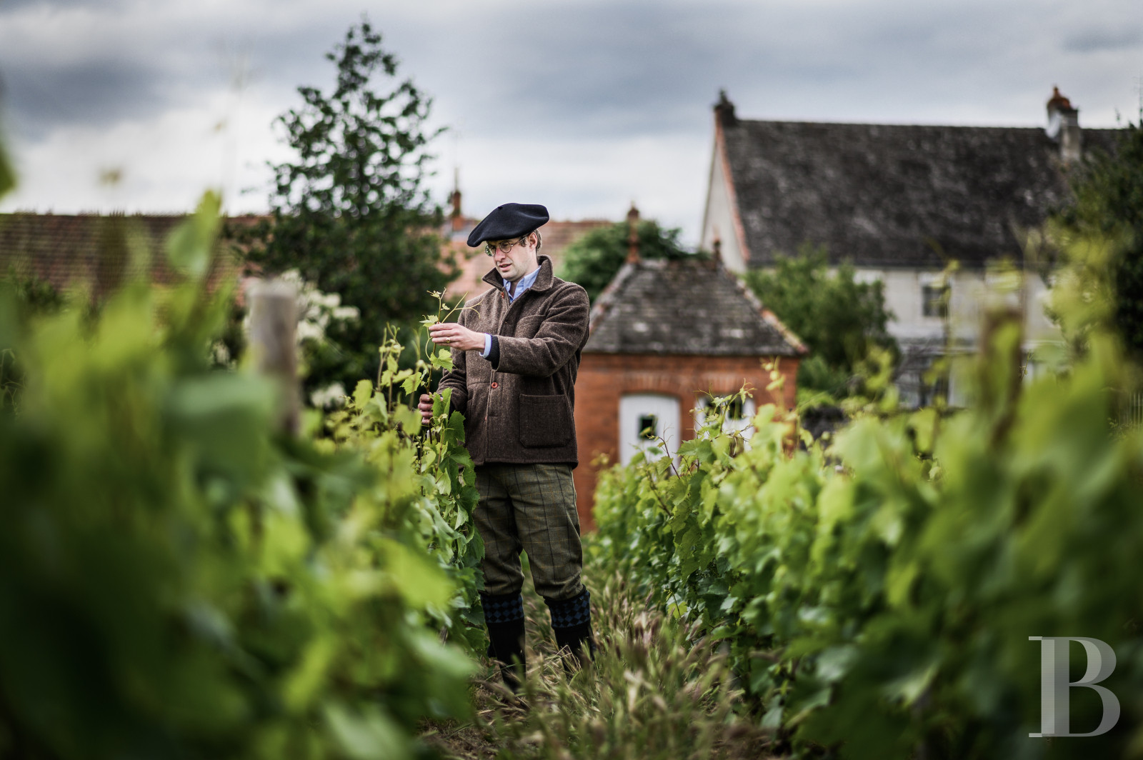 A chateau affiliated with Burgundy's greatest vineyards and permaculture to the south of Beaune - photo  n°53