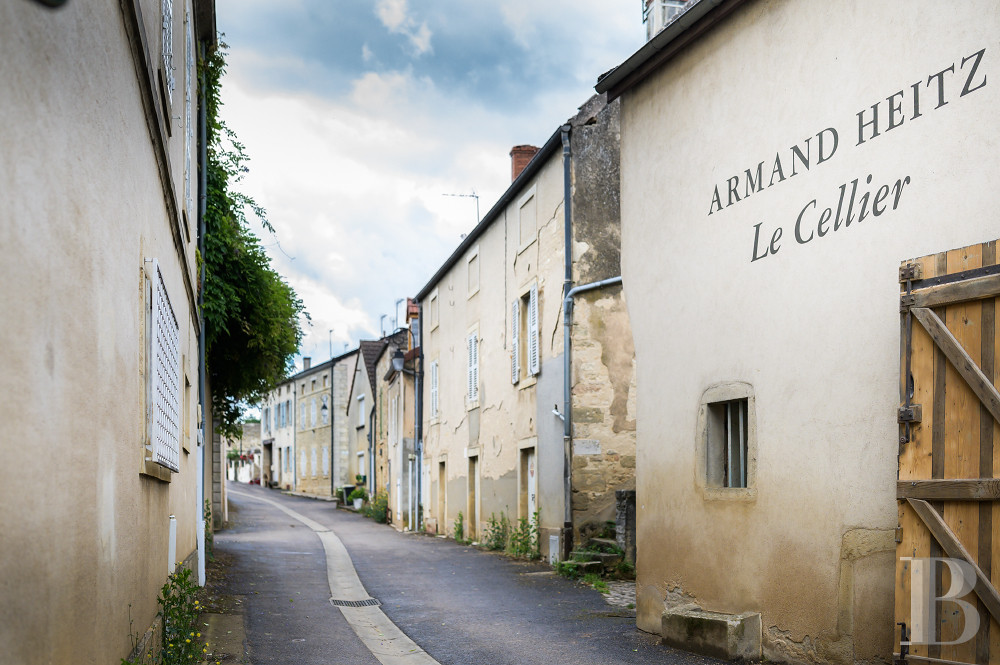 A chateau affiliated with Burgundy's greatest vineyards and permaculture to the south of Beaune - photo  n°40